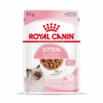 Royal Canin KITTEN Chunks in gravy 85 Gr