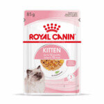 Royal Canin KITTEN Chunks in jelly 85 Gr