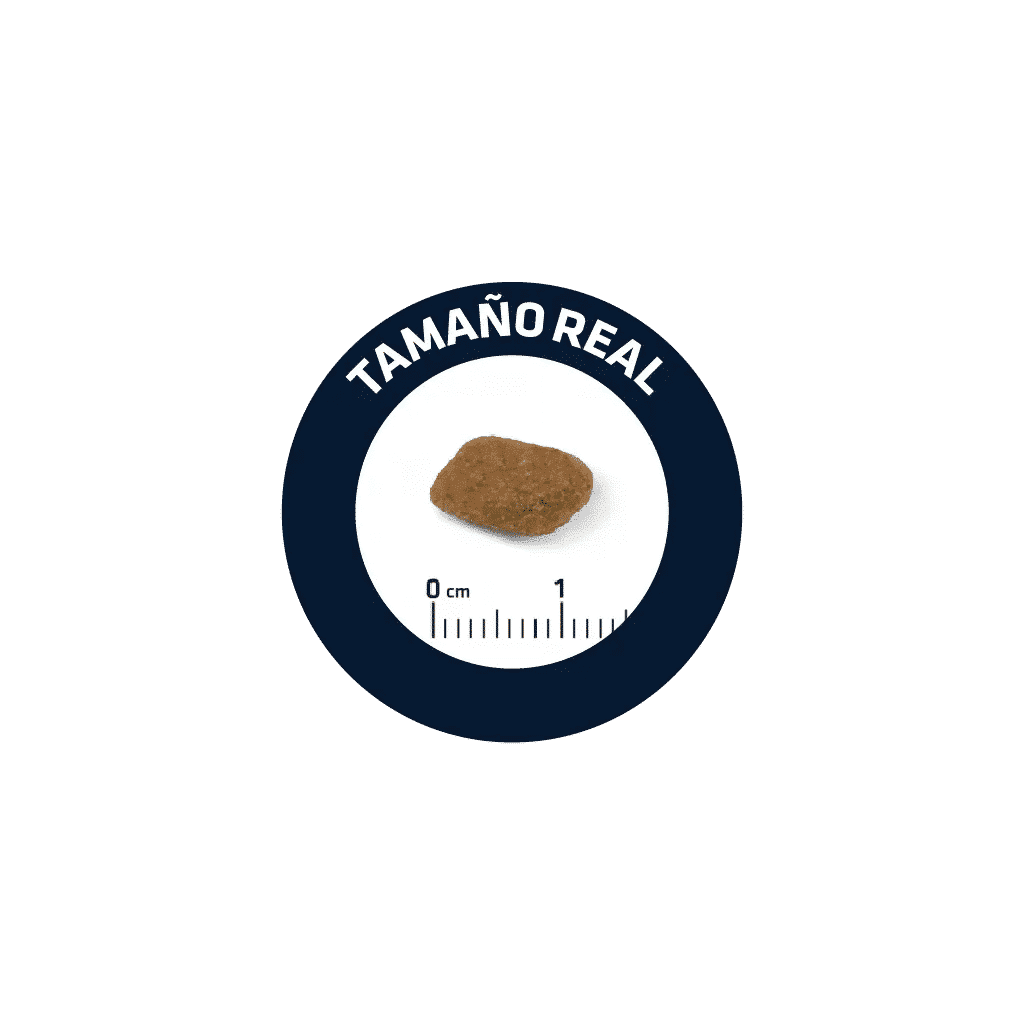 Advance Medium Senior Chicken & Rice +7 años - Imagen 2