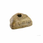Exo-Terra Cueva para serpiente