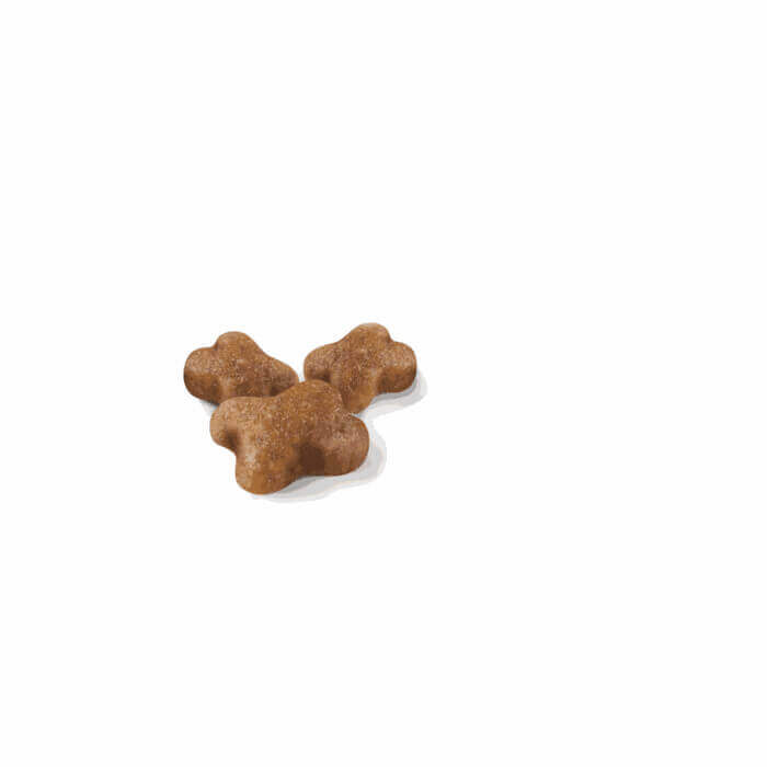 Royal Canin KITTEN - Imagen 2