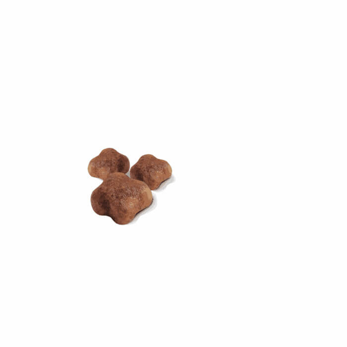 Royal Canin MOTHER & BABYCAT - Imagen 2