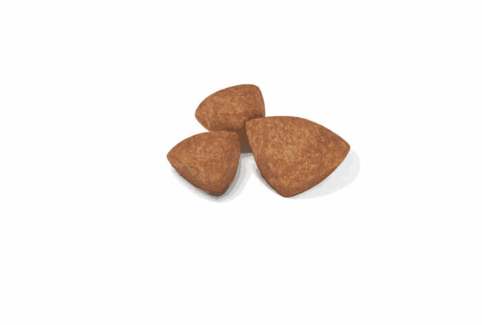 Royal Canin PUPPY - X-SMALL - Imagen 2