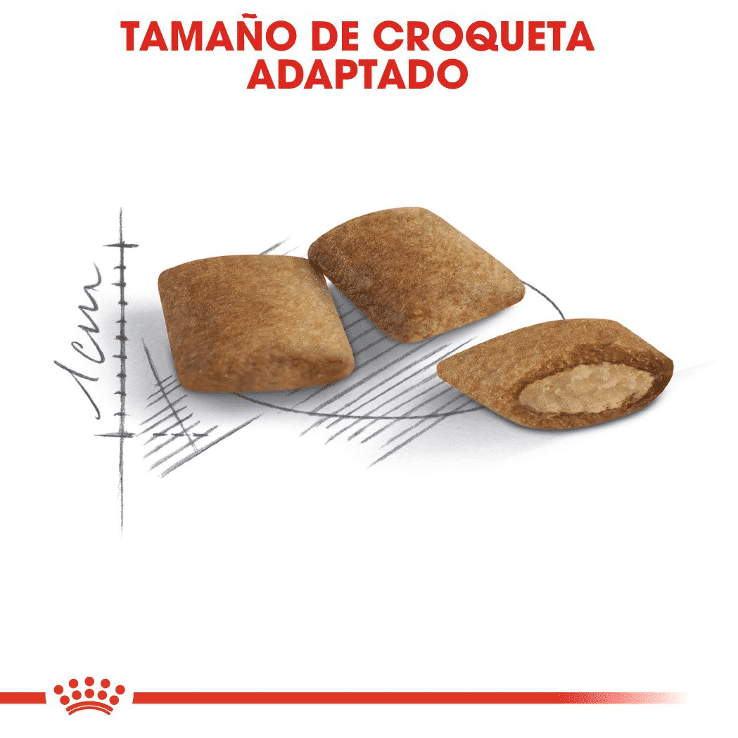 Royal Canin Ageing 12+ - Imagen 5