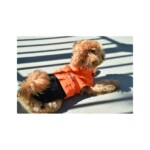 Nayeco Impermeable Xtrm Naranja - Imagen 3