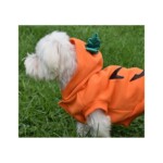 Nayeco Sudadera Con Capucha Halloween - Imagen 3