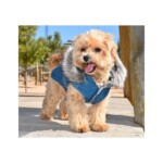 Nayeco Chaqueta Con Capucha Canada Azul Marino - Imagen 3