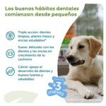 Whimzees Pack Snacks Dentales Puppy - Imagen 3