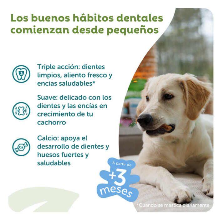 Whimzees Pack Snacks Dentales Puppy - Imagen 3