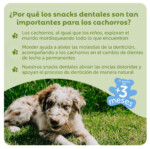 Whimzees Pack Snacks Dentales Puppy - Imagen 4