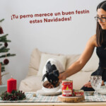 Wild Balance Receta Navidad para Perro de Ciervo y Conejo-Lata 400gr - Imagen 5