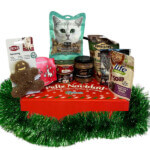 🎁 Caja de Navidad para Gato: Pack Festivo Completo