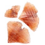 Snack Ala de Pota Deshidratada 1u