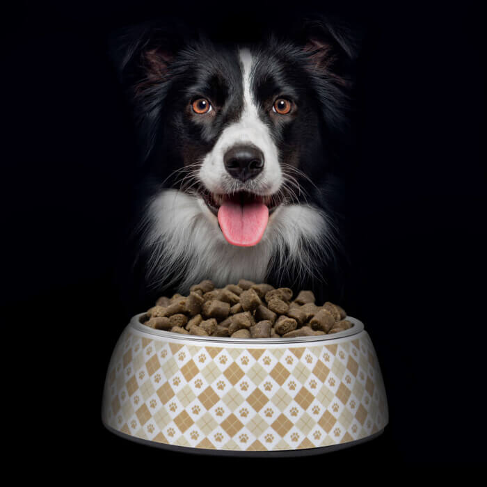 Nutradog WILD Pienso Semihúmedo Adulto Salmón y Pavo - Imagen 3