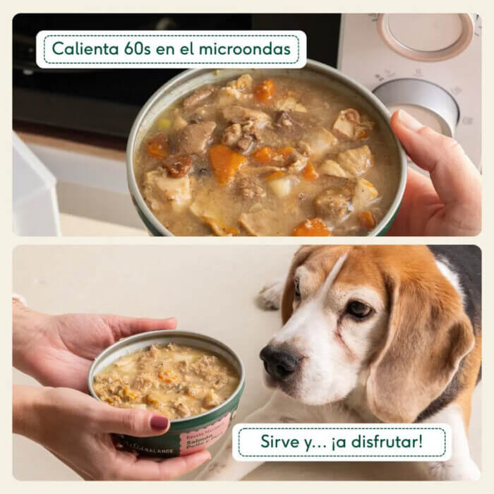 Wild Balance Húmedo Perro Cazuela Salmón, Pollo y Pera 280g - Imagen 4