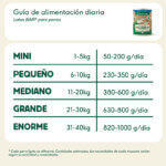 Wild Balance Comida Húmeda para Perro Cerdo y Merluza 400gr | Filosofía Barf - Imagen 5