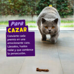 Edgar Cooper Snacks Rolls Pollo y Salmón 45gr- Para Gato - Imagen 5