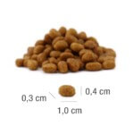 Platinum Pienso MeatCrisp Kitten Pollo para Gatitos - Imagen 3