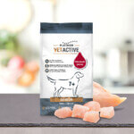 Platinum Vetactive Pienso Semihúmedo Senior para Perros