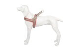 Freedog Arnés Shiva Sport Rojo para Perros - Imagen 3