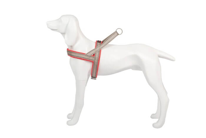 Freedog Arnés Shiva Sport Rojo para Perros - Imagen 3