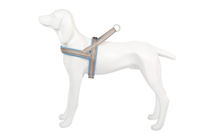 Freedog Arnés Shiva Sport Azul Cielo para Perros - Imagen 3