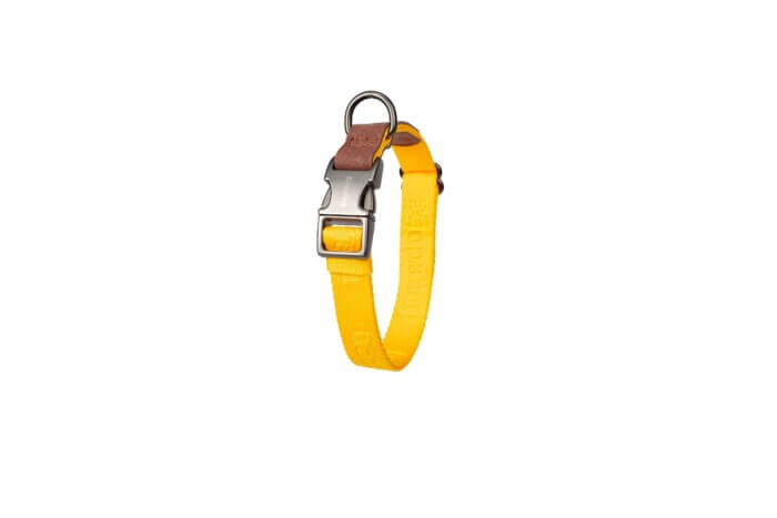 Freedog Collar Linum Yelow Sunrise para Perros - Imagen 2