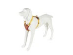Freedog Arnés Linum Yelow Sunrise para Perros - Imagen 3