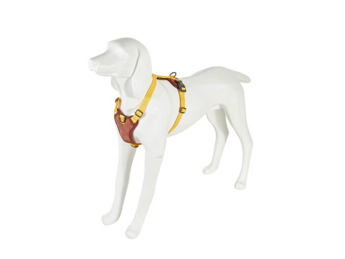Freedog Arnés Linum Yelow Sunrise para Perros - Imagen 3