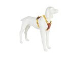Freedog Arnés Linum Yelow Sunrise para Perros - Imagen 4