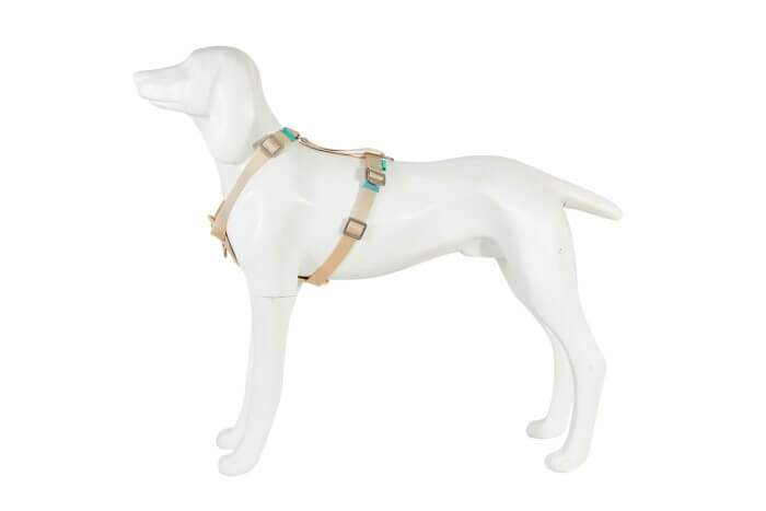 Freedog Arnés de Seguridad Especial Coche Beige para Perros - Imagen 2