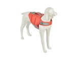 Freedog Chaleco Salvavidas Pro Coral para Perros - Imagen 3