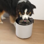 Zeus Oasis Plus Fuente Inteligente de Acero Inox para Perros 6L - Imagen 6