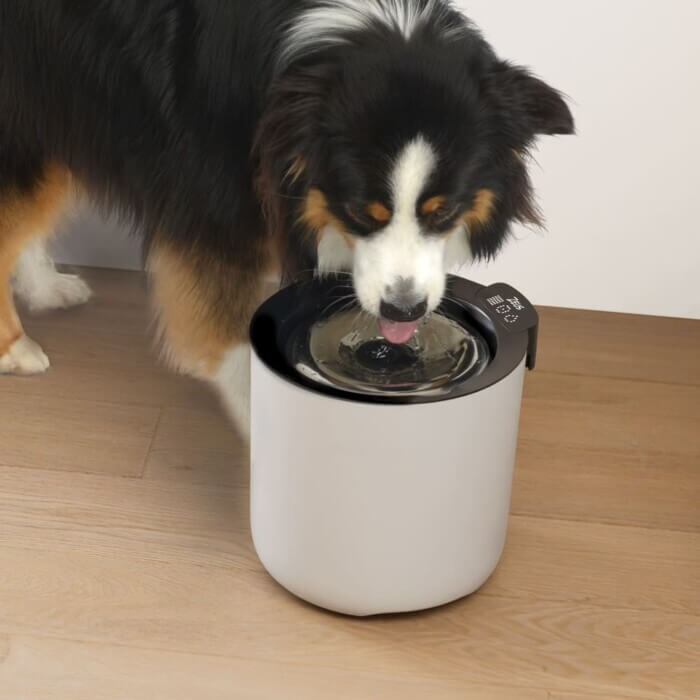 Zeus Oasis Plus Fuente Inteligente de Acero Inox para Perros 6L - Imagen 6