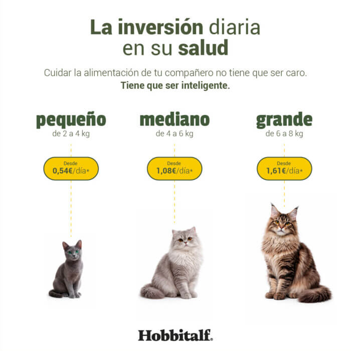 Hobbitalf Air-dried Superfood Adulto Salmón y Pavo para Gatos - Imagen 6