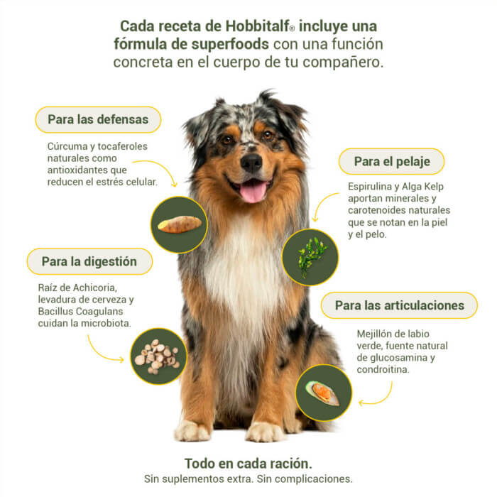 Hobbitalf Air-dried Superfood Adulto Salmón y Pavo para Perros - Imagen 5