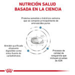 Royal Canin Pienso Anallergenic para Perros - Imagen 2