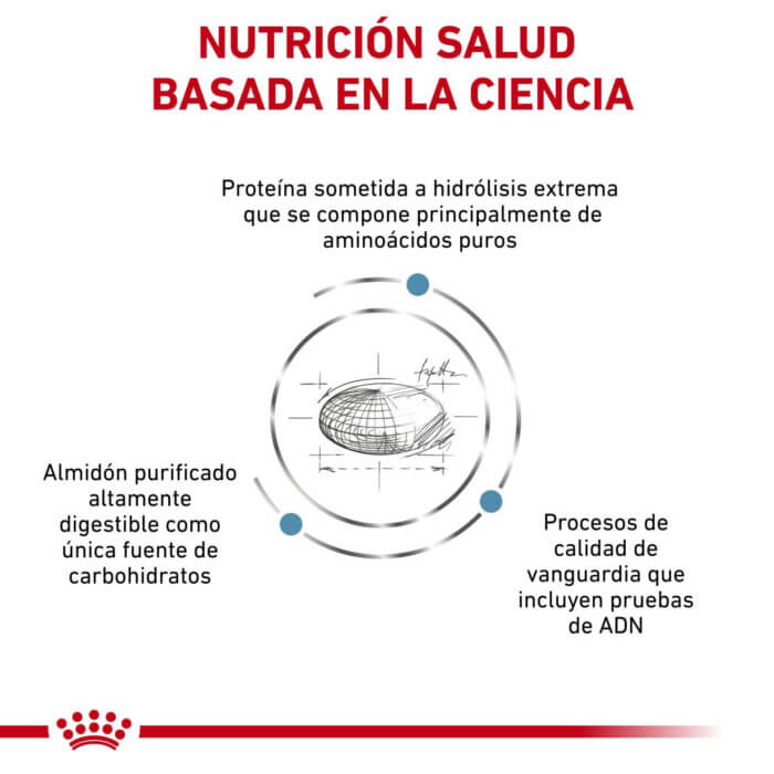 Royal Canin Pienso Anallergenic para Perros - Imagen 2
