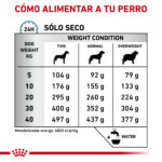 Royal Canin Pienso Anallergenic para Perros - Imagen 4