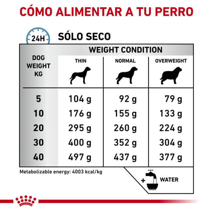 Royal Canin Pienso Anallergenic para Perros - Imagen 4