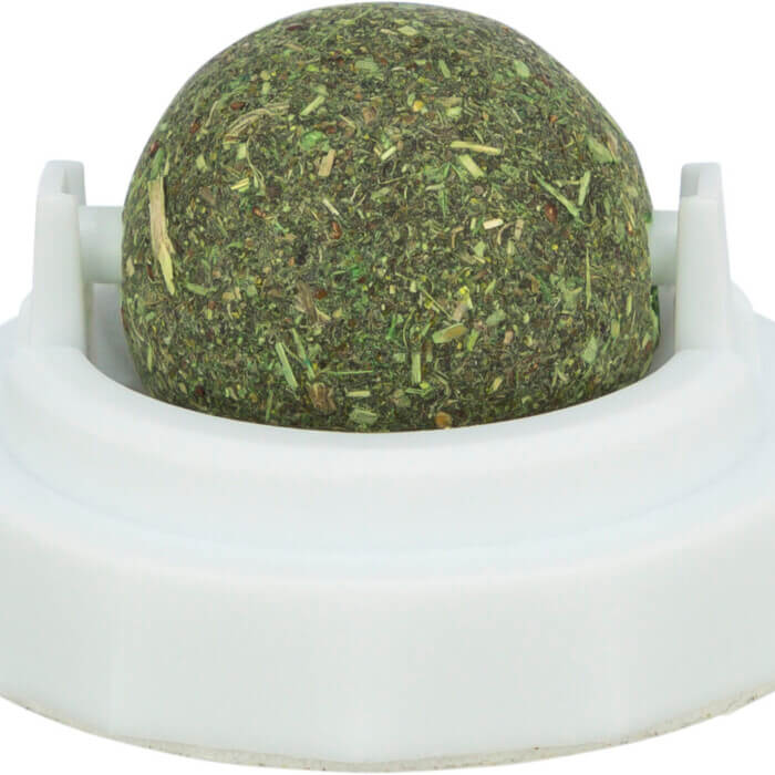 PHO_PRO_CLIP_42242-2_#SALL_#AWK_#V1 (1) Trixie Pelota de Hierba Gatera con Soporte 5cm - Imagen 1